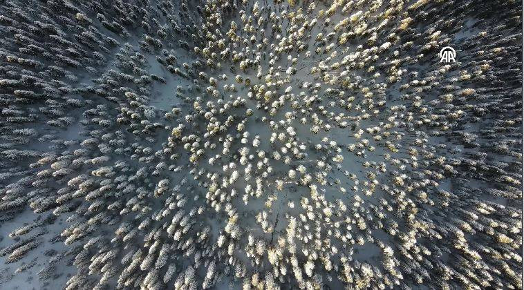 Ilgaz Dağı'nda kartpostallık görüntüler - Resim: 14